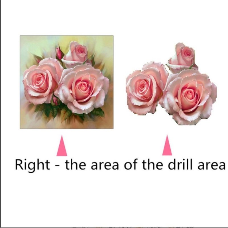 画像2: 刺繍キット 5D ダイヤモンド クロスステッチ 花 バラ 北欧 図案 刺繍絵画キット 初心者 DIY やり方 大人 子供向け 手作り 現代壁アート 装飾品 贈り物 送料無料 (2)