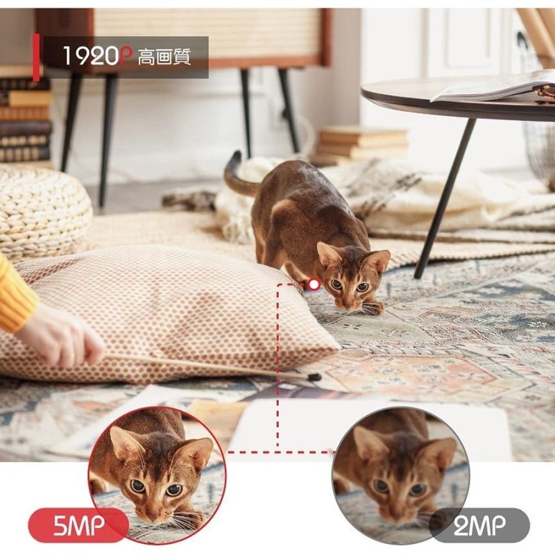 画像2: Jennov増設専用 ドーム型防犯カメラ 屋外 wifi 防水 500万画素 1920P ワイヤレス マイク付き 録音機能定点式 室内 監視カメラ ワイヤレス 一年保証 (2)