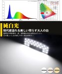 画像3: LED ルームランプ スズキスイフト ZC/ZD13S/43S/53S/83S スイフトスポーツ ZC33S 室内灯 6000k ホワイト 白 専用設計 専用 カスタムパーツ 内装パーツ 取付簡単 工具付き 一年保証 (3)