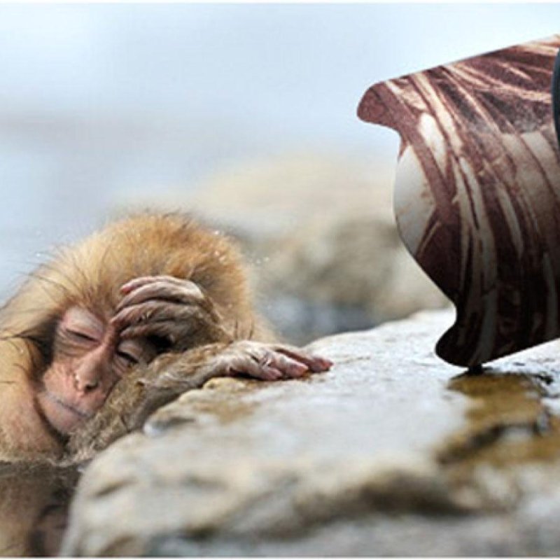 画像3:  ニコン(Nikon)Z 800mm F6.3VR S long focus用レンズカバー  ニコンカメラ保護カバー 弾性構造 保護 防水 防塵 防震 アウトドア 野生動物撮影 屋外撮影 迷彩 送料無料 (3)