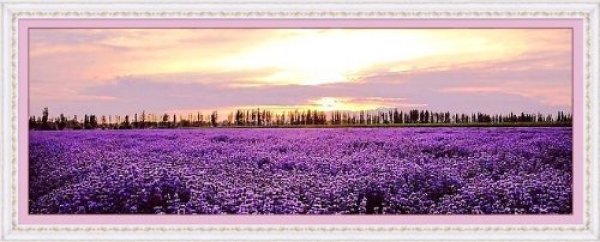 クロスステッチ 刺繍キット ラベンダー草原 